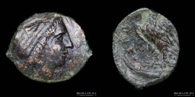 Syracuse. Sicily under Hiketas (288-279BC) AE Litra