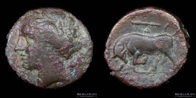 Syracuse. Sicily. Hieron II (275-215BC) AE Unit