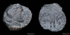 Hispania. Cordoba. AE Quadrans. Gnaeus Julius 49-45BC