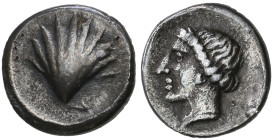 ‡ Italy, Calabria, Tarentum, litra, c.470-450 BC, cockle shell, rev., head of nymph Satyra left, 0.65g, die axis 10.00 (Vlasto 1162; HN Italy 840; Jam...