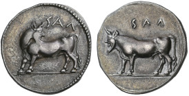 ‡ Italy, Lucania, Laos, nomos, c. 480-460 BC, ΛΑΣ (retrograde), man-headed bull standing left with head reverted, rev., ΛΑΣ (retrograde), man-headed b...