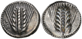 ‡ Italy, Lucania, Metapontum, drachm, c. 510-500 BC, ΜΕΤ, ear of barley with seven grains, rev., ΜΕΤ (retrograde), same type incuse, 2.51g, die axis 1...