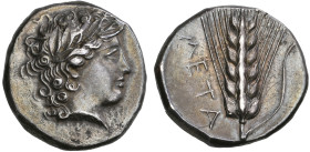 ‡ Italy, Lucania, Metapontum, stater, c. 400-340 BC, laureate head of Apollo right; on truncation, ΑΠΟΛ; below, traces of Σ, rev., ΜΕΤΑ, ear of barley...
