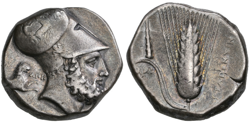 ‡ Italy, Lucania, Metapontum, distater, c. 340-330 BC, head of Leukippos right w...