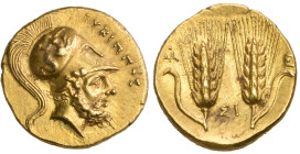‡ Italy, Lucania, Metapontum, gold third-stater, c. 290-280 BC, ΛΕΥΚΙΠΠΟΣ, head of Leukippos right wearing Corinthian helmet adorned with Scylla, rev....