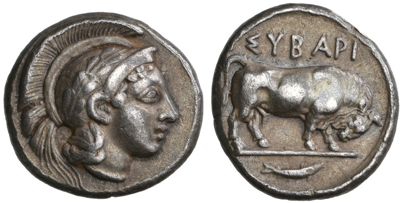 ‡ Italy, Lucania, Sybaris, drachm, c. 443-425 BC, head of Athena right wearing w...