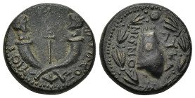 Kingdom of Commagene. Antiochus IV of Commagene. AE. (8.29 Gr. 20mm.)
Anchor between crossed cornucopias, surmounted by male heads.
Rev. Armenian ti...