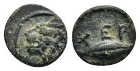THRACE, Chersonesos (Circa 386-309 BC) AE Bronze (10mm, 0.9g) Obv: Head of lion left. Rev: XEP / O. Barley grain; leaf to left.