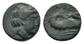 MYSIA. Priapos. Ae (9mm, 0.9 g) (3rd century BC). Obv: Laureate head of Apollo right. Rev: ΠPIAΠHNΩN. Prawn right;