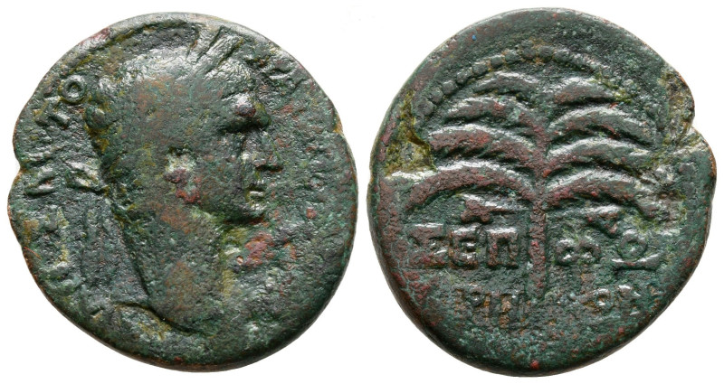 Bronze Æ
Judaea, Sepphoris (Diocaesarea), Trajan AD 98-117
25mm, 8,11 g