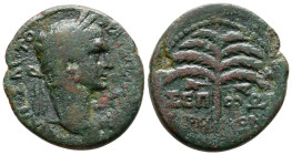 Bronze Æ
Judaea, Sepphoris (Diocaesarea), Trajan AD 98-117
25mm, 8,11 g