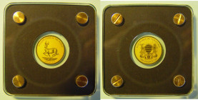 1/500 OZ, Springbock 2019, Gold 999/1000 (Chad)