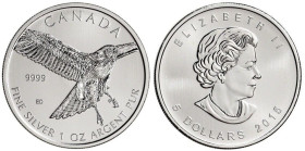 1 OZ AR
5 Dollars, Canada, Red-Tailed Hawk, 2015
31,10 g