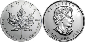 1 Oz AR
Canada Maple Leaf 2007
31,10 g