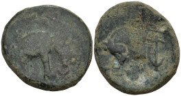 Greek
SELEUKID EMPIRE. Seleukos I Nikator. Second satrapy and kingship, 312-281 BC. Apamea on the Orontes mint. Struck circa 300-281 BC.
AE Bronze (...