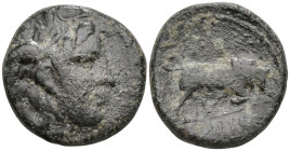 Greek
SELEUKID EMPIRE. Seleukos I Nikator (circa 282-281 BC). Sardes
AE Bronze (19mm 5.96g)