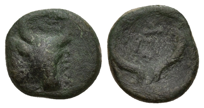 Greek
THRACE. Byzantion. (Before 336 BC)
AE Bronze (10.8mm 1.5g)