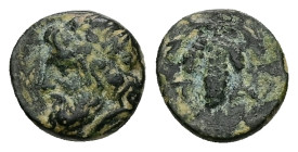 Aeolis, Temnos. Ae,1.39 g 10.49 mm. 4th century BC.