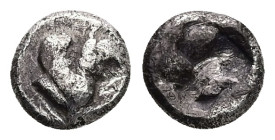 Ionia, Teos. AR Obol, 0.84 g 8.42 mm. Late 6th - early 5th century BC.