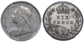 Victoria 1837-1901
Proof 6 Pence, 1893 , AG
Ref : S. 3941
Conservation : PCGS PROOF 66 CAMEO. Flan bruni