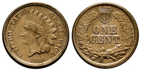 U.S. Coins. Indian Cents. 1 cent. 1860. Philadelphia. (Km-90). 4,58 g. AU. Est...300,00. 

Spanish Description: Estados Unidos. Indian Cents. 1 cent...