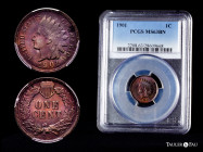 U.S. Coins. Indian Cents. 1 cent. 1901. Philadelphia. (Km-90a). Ae. Slabbed by PCGS as MS 63 BN. PCGS-MS. Est...90,00. 

Spanish Description: Estado...