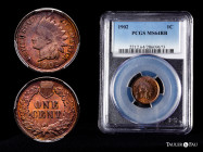 U.S. Coins. Indian Cents. 1 cent. 1902. Philadelphia. (Km-90a). Ae. Slabbed by PCGS as MS 64 RB. PCGS-MS. Est...100,00. 

Spanish Description: Estad...