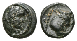 Greek Coins IONIA. Erythrai. Ae (Circa 400 BC).
Obv: Head of Herakles right, wearing lion skin.
Rev: EPY.
Forepart of bull right; club to right.
Condi...