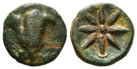 Greek
Pontos. Uncertain mint. Time of Mithradates VI Eupator 120-63 BC.
 Æ 5,70 gr - 18,48 mm
Rose; to right, monogram / Eight-rayed star with two opp...