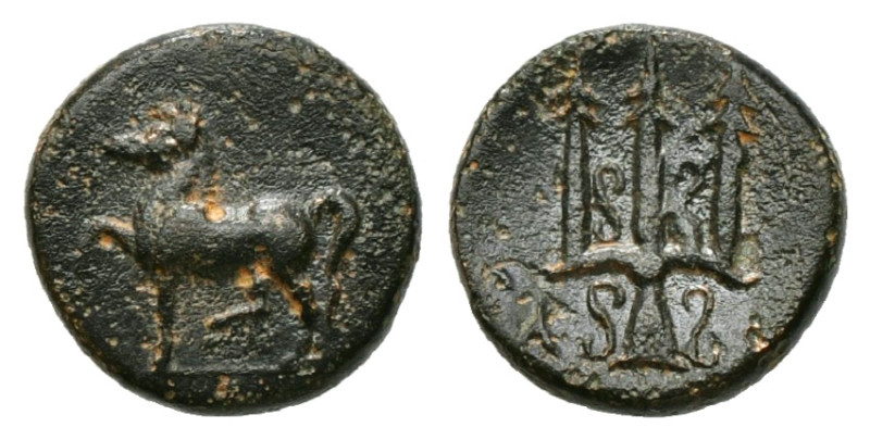 Greek Coins
CARIA. Mylasa. Ae (Circa 210-30 BC).
Obv: Horse prancing left.
Rev: ...