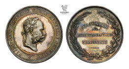 Francis Joseph I. Silver medal. State award for economic merit.