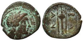 SELEUKID KINGS of SYRIA. Antiochos I Soter, 281-261 BC. Ae (bronze, 1.52 g, 13 mm), Antioch on the Orontes. Laureate head of Apollo right. Rev. BA AN ...