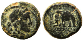 SELEUKID KINGS of SYRIA. Antiochos III the Great, 222-187 BC. Ae (bronze, 3.04 g, 14 mm), Sardes. Laureate head of Apollo to right. Rev. BAΣIΛΕΩΣ ANTI...