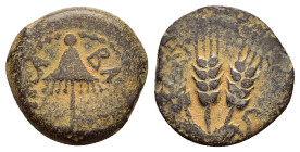 JUDAEA. Agrippa I.(52-59).Jerusalem.Ae.

Obv : BACIΛEWC AΓPIΠA .
Umbrella-like canopy with fringes.

Rev : Three ears of barley growing between two le...