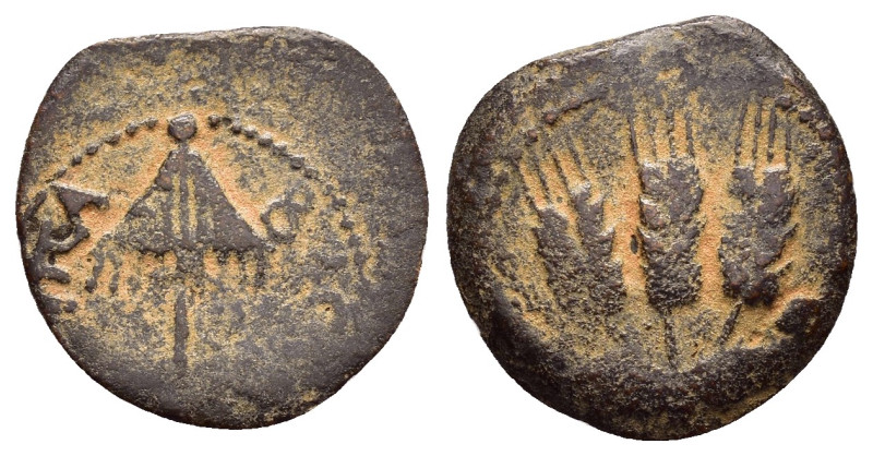 JUDAEA. Agrippa I.(52-59).Jerusalem.Ae.

Obv : BACIΛEWC AΓPIΠA .
Umbrella-like c...