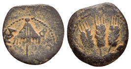 JUDAEA. Agrippa I.(52-59).Jerusalem.Ae.

Obv : BACIΛEWC AΓPIΠA .
Umbrella-like canopy with fringes.

Rev : Three ears of barley growing between two le...