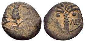 JUDAEA.Procurators. Marcus Ambibulus.(9-12 CE). Ae.

Condition : Nicely toned.Good very fine.

Weight : 1.55 gr
Diameter : 16 mm