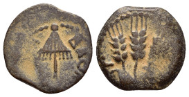 JUDAEA. Agrippa I.(52-59).Jerusalem.Ae.

Obv : BACIΛEWC AΓPIΠA .
Umbrella-like canopy with fringes.

Rev : Three ears of barley growing between two le...