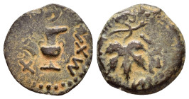JUDAEA. Jewish War.(66-70). Ae.

Obv : Amphora with broad rim and two handles.

Rev : Grape leaf on vine.
Meshorer 196a; Hendin 1360.

Condition : Nic...