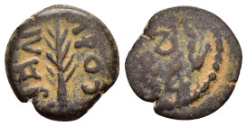 JUDAEA. Procurators. Porcius Festus.(59-62).Jerusalem.Ae.

Obv : NЄP ωNO C.
Legend in three lines within wreath.

Rev : CΛKI ΛO.
Palm frond.
RPC I onl...