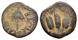 JUDAEA. Agrippa I.(52-59).Jerusalem.Ae.

Obv : BACIΛEWC AΓPIΠA .
Umbrella-like canopy with fringes.

Rev : Three ears of barley growing between two le...