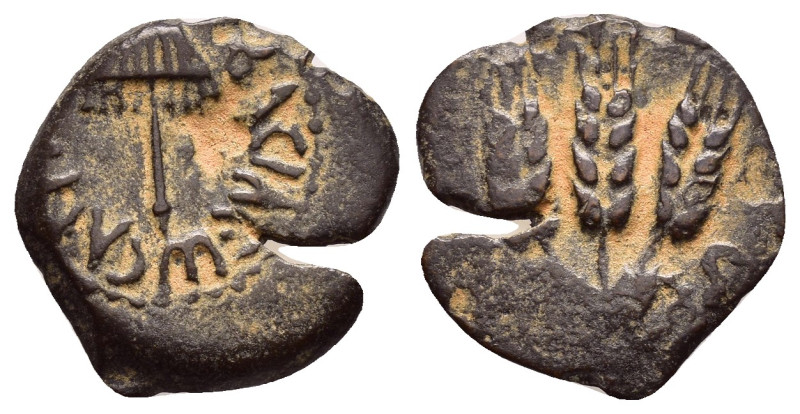 JUDAEA. Agrippa I.(52-59).Jerusalem.Ae.

Obv : BACIΛEWC AΓPIΠA .
Umbrella-like c...