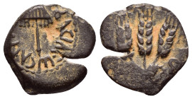 JUDAEA. Agrippa I.(52-59).Jerusalem.Ae.

Obv : BACIΛEWC AΓPIΠA .
Umbrella-like canopy with fringes.

Rev : Three ears of barley growing between two le...