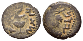 JUDAEA. Jewish War.(66-70). Ae.

Obv : Amphora with broad rim and two handles.

Rev : Grape leaf on vine.
Meshorer 196a; Hendin 1360.

Condition : Goo...
