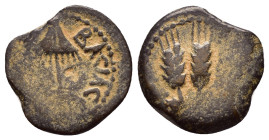 JUDAEA. Agrippa I.(52-59).Jerusalem.Ae.

Obv : BACIΛEWC AΓPIΠA .
Umbrella-like canopy with fringes.

Rev : Three ears of barley growing between two le...