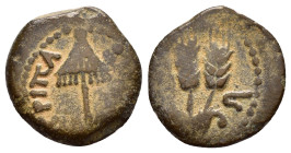 JUDAEA. Agrippa I.(52-59).Jerusalem.Ae.

Obv : BACIΛEWC AΓPIΠA .
Umbrella-like canopy with fringes.

Rev : Three ears of barley growing between two le...