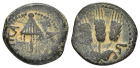 JUDAEA. Agrippa I.(52-59).Jerusalem.Ae.

Obv : BACIΛEWC AΓPIΠA .
Umbrella-like canopy with fringes.

Rev : Three ears of barley growing between two le...