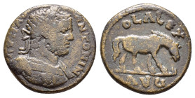 TROAS. Alexandria. Caracalla (198-217). Ae.

Condition : Good very fine.

Weight : 7.84 gr
Diameter : 23 mm