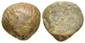 ANCIENT ROMAN BRONZE SHELL.(1st - 2nd Century).Ae.

Condition : Good very fine.

Weight : 41.94 gr
Diameter : 30 mm