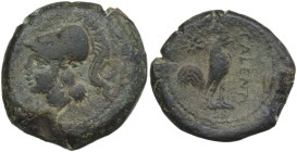 Greek Italy. Samnium, Southern Latium and Northern Campania, Cales. AE 21 mm. c. 265-240 BC. Obv. Helmeted head of Athena left. Rev. CALENO. Rooster s...
